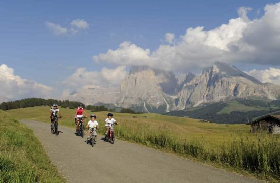 Bikeholidays South Tyrol4